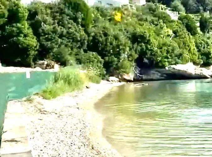 Spyros Aronis